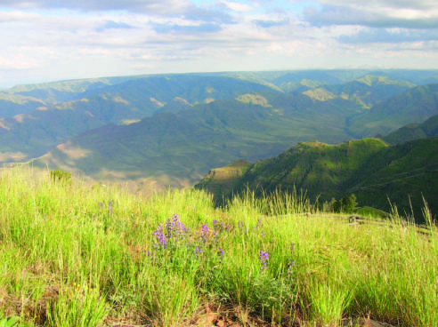 The Buckhorn Lookout in the Blue Mountains Ecoregion.