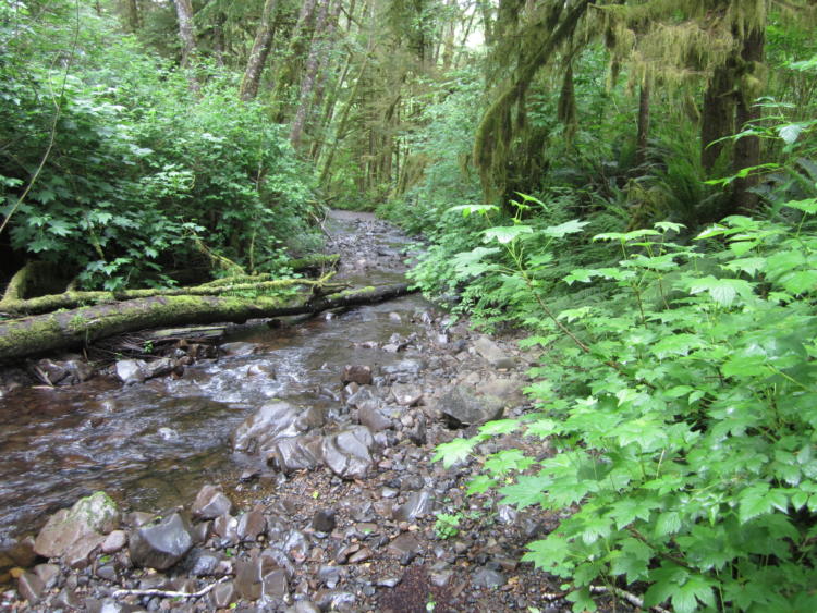 Flowing Water and Riparian Habitats – Oregon Conservation Strategy