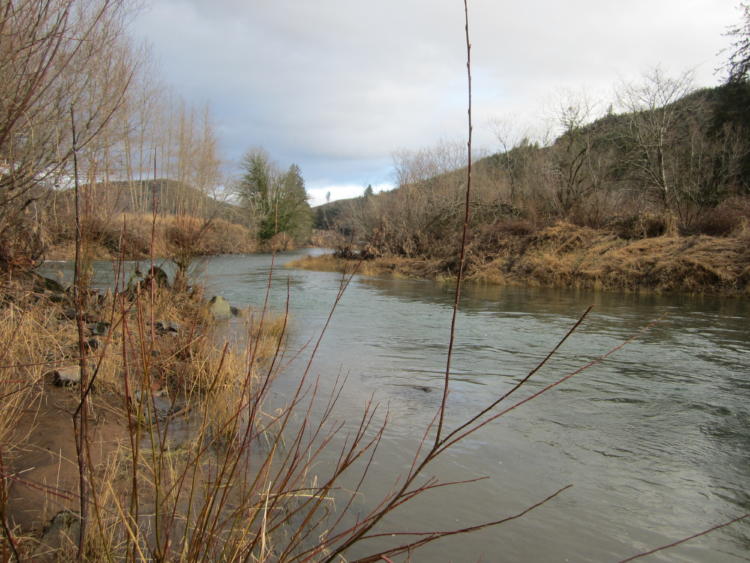 The Nestucca River in Oregon's Coast Range Ecoregion.