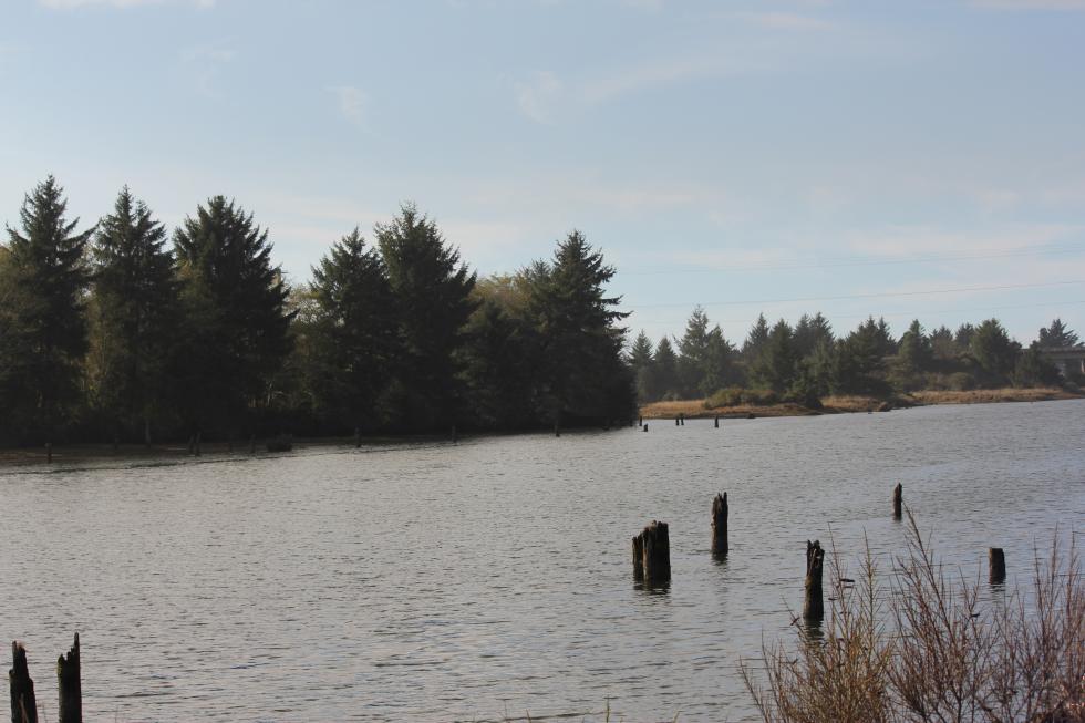 Siletz River Oregon Conservation Strategy
