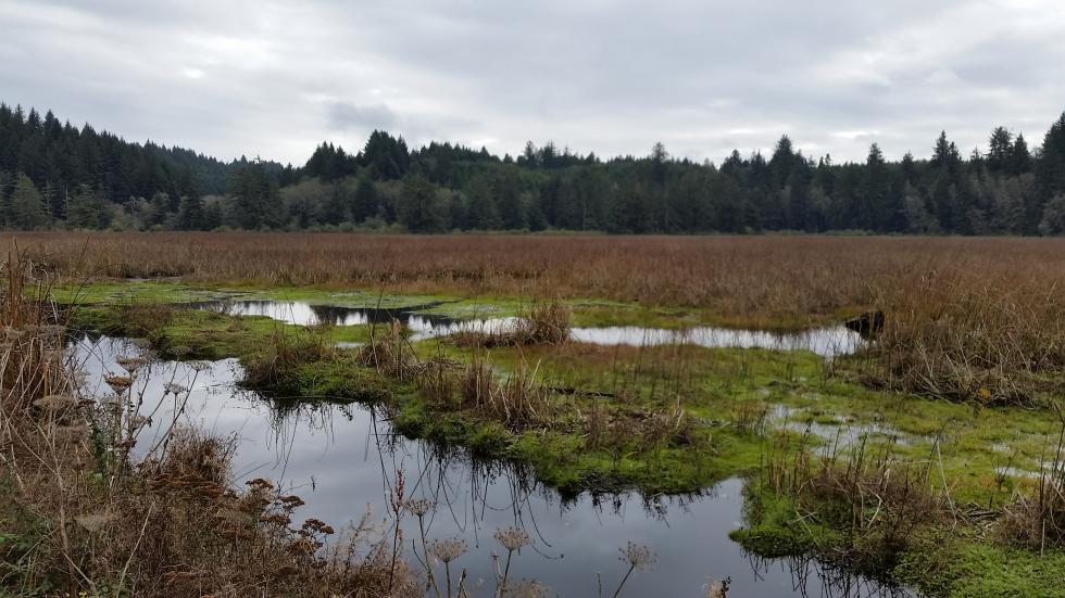 Beaver Creek – Oregon Conservation Strategy