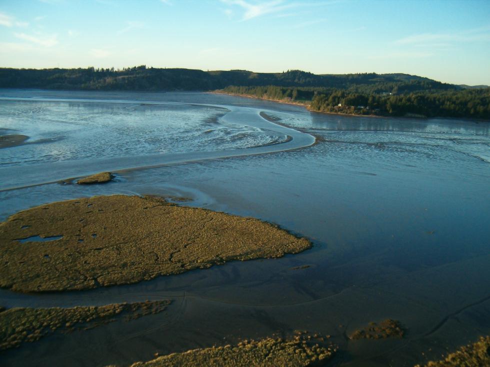 Alsea EstuaryAlsea River Oregon Conservation Strategy
