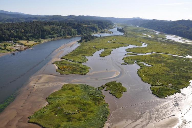 The Siuslaw River Estuary in Oregon's Coast Range ecoregion. 