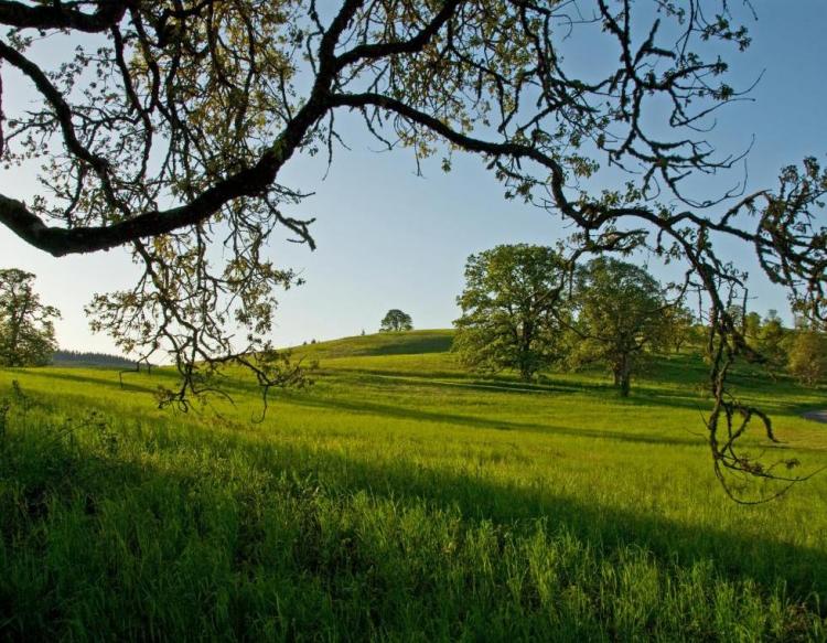 Willamette Valley Oregon Conservation Strategy