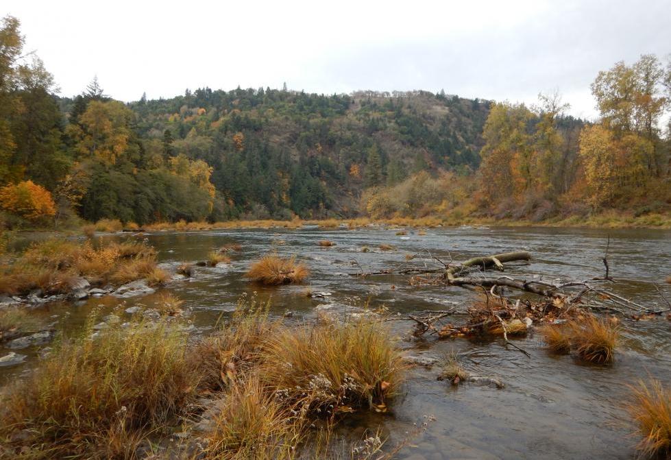 North Umpqua River Area Oregon Conservation Strategy   COA 090 North Umpqua River Area Martyne Reesman ODFW E1449104416668 