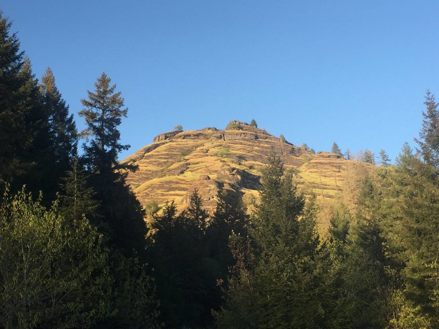 Tenmile Area Oregon Conservation Strategy