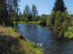 The Metolius River in Oregon's East Cascades Ecoregion.