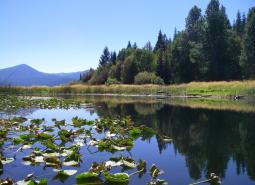 Upper Klamath Lake