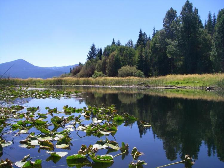 Upper Klamath Lake