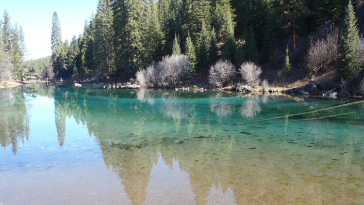 Crystal clear waters reflect riparian forest