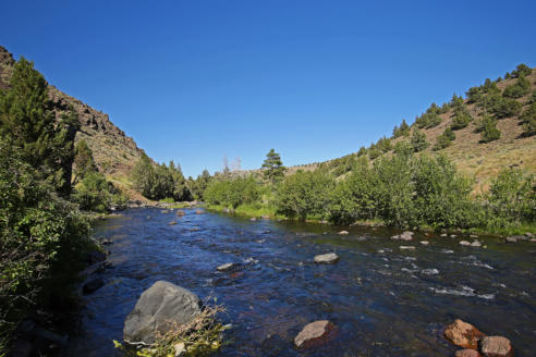 Chewaucan River – Oregon Conservation Strategy