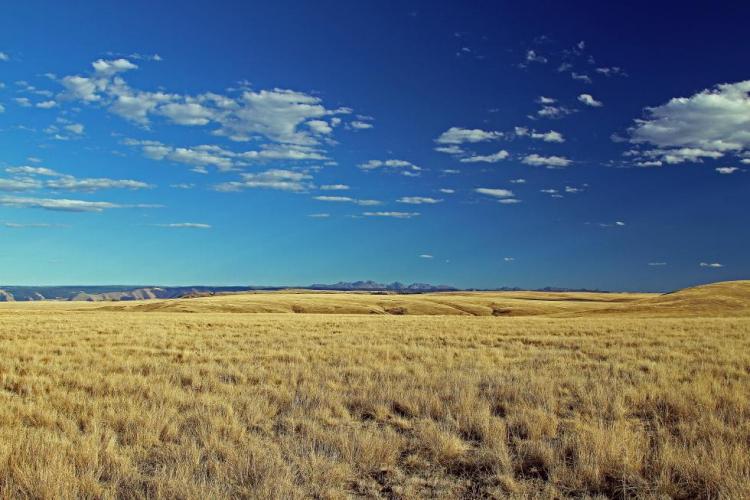 Zumwalt Prairie Plateau