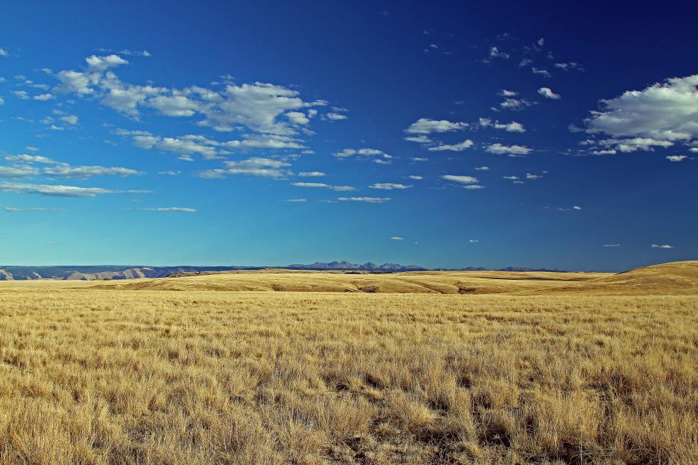 Zumwalt Prairie Plateau – Oregon Conservation Strategy