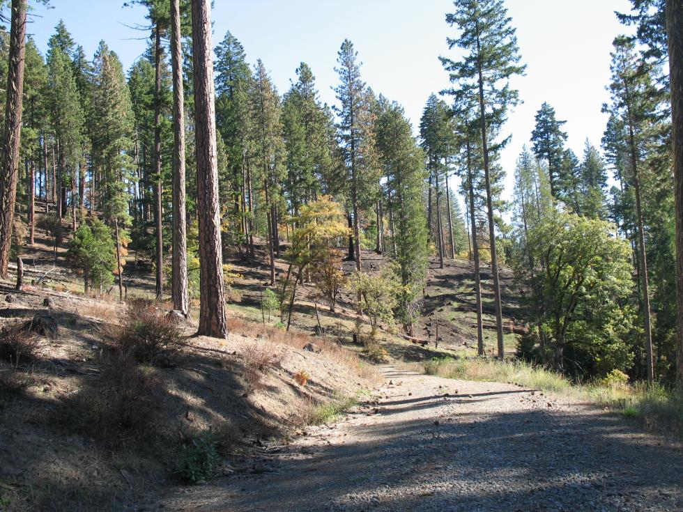 Strategy Spotlight: Jim’s Creek Restoration – Oregon Conservation Strategy