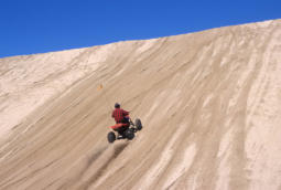 ATV riding in the dunes of the Siuslaw National Forest.