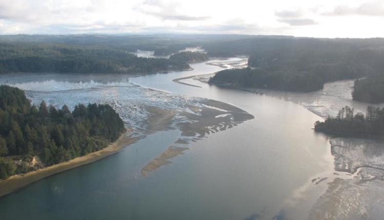 South Slough, Oregon. 