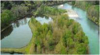 Spring 2014, Before construction. Three deep, steep-sided, warm water former gravel extraction pits (ponds) disconnected from the Middle Fork Willamette River.