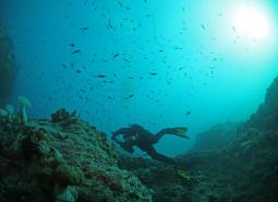 Rocky reef